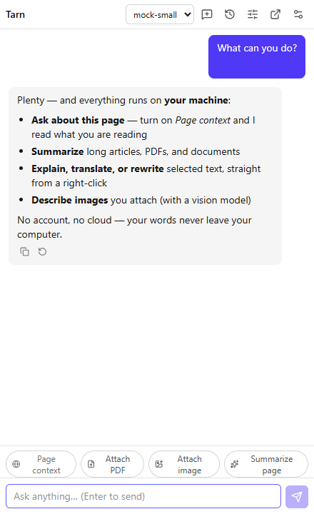 The Tarn side panel: a chat with a local model about the current page.